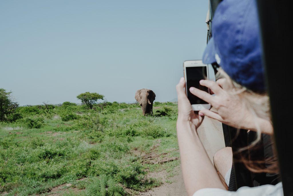 Waar spot je de big five